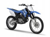 2009 Yamaha TT-R125LE photo
